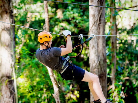 TreeTop Challenge Currumbin Wildlife Sanctuary - Gold Coast 0