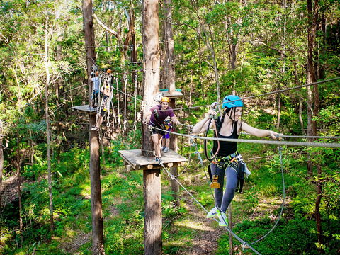 TreeTop Challenge Currumbin Wildlife Sanctuary - Gold Coast 1