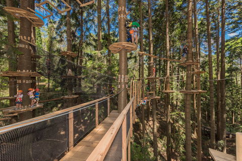 TreeTops Sydney The Hills - Tourism Gold Coast 0