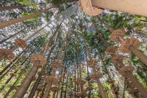 TreeTops Sydney The Hills - Tourism Gold Coast 1