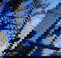 Trees Adventure Nowra Park - Gold Coast