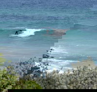 Trigg Island Beach - Tourism Gold Coast