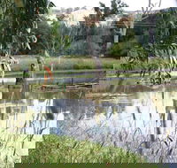 Tumut Wetlands - Tourism Gold Coast