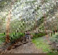 Venman Bushland National Park - Tourism Gold Coast