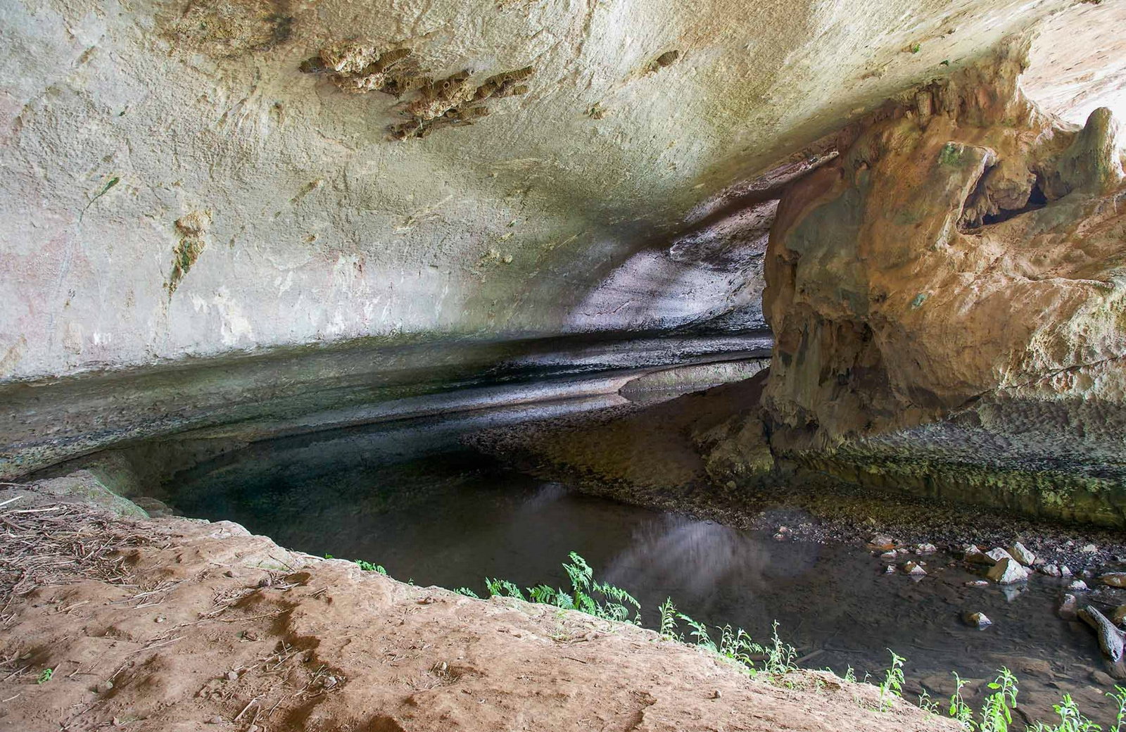 Spring Hill ACT Tourism Gold Coast