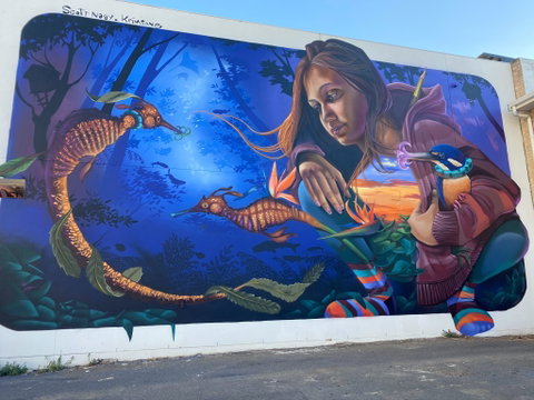 Walk The Walls Cronulla Street Art Trail - Tourism Gold Coast 0