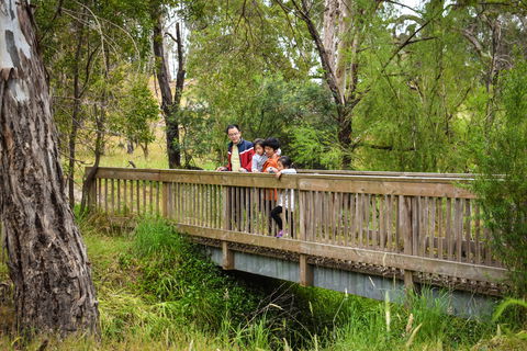 Westerfolds Park - Tourism Gold Coast 0