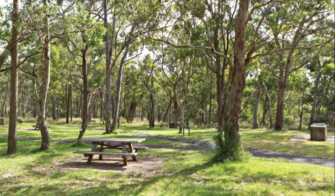 Wollomombi Gorge And Falls Picnic Area - Tourism Gold Coast 0