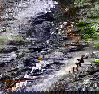 Full-Day Canyoning Experience at Stunning Empress Canyon - Gold Coast