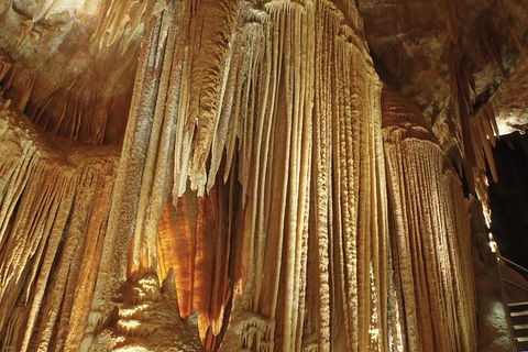 Jenolan Caves: Orient Cave Tour - Tourism Gold Coast 0