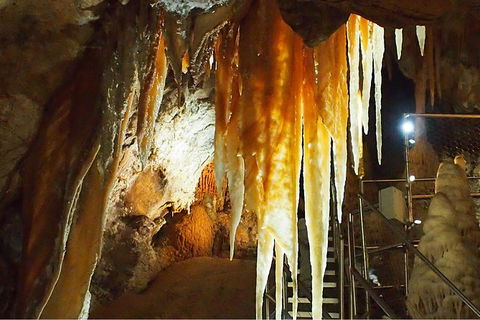 Jenolan Caves: Orient Cave Tour - Tourism Gold Coast 3