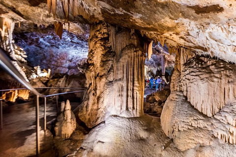 Jenolan Caves: Lucas Cave Tour - Tourism Gold Coast 2