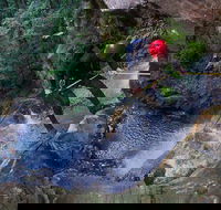 Small-Group Full-Day Canyoning and Abseiling Adventure from Katoomba - Gold Coast