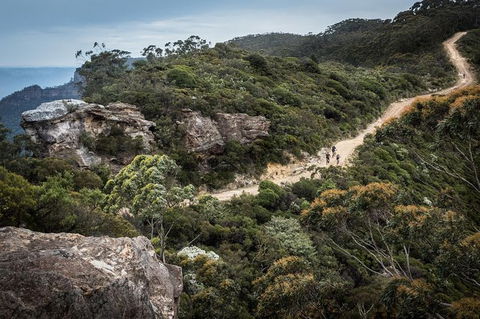Blue Labyrinth Tour: Sydney Blue Mountains By E-Bike - Gold Coast 5