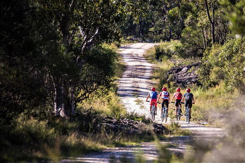 Blue Labyrinth Tour: Sydney Blue Mountains By E-Bike - Gold Coast 6