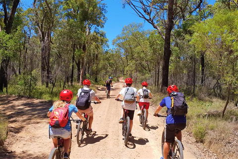 Blue Labyrinth Tour: Sydney Blue Mountains By E-Bike - Gold Coast 1