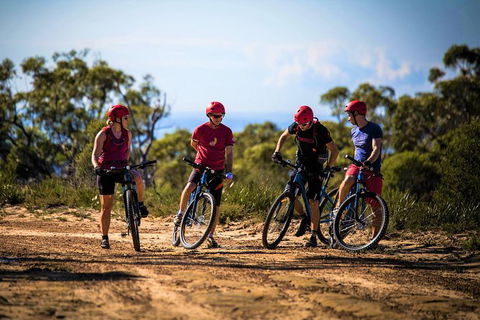 Blue Labyrinth Tour: Sydney Blue Mountains By E-Bike - Gold Coast 3