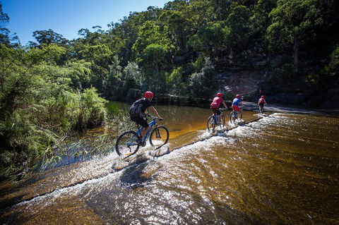 Blue Labyrinth Tour: Sydney Blue Mountains By E-Bike - Gold Coast 7