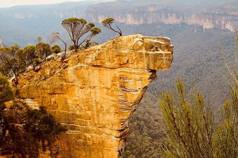 Blue Mountains Hanging Rock SELF-GUIDED Mountain Bike Hire Service - Gold Coast 7