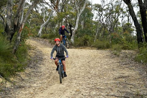 Blue Mountains Hanging Rock SELF-GUIDED Mountain Bike Hire Service - Gold Coast 10