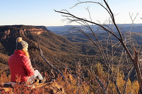 Ultimate Blue Mountains Waterfalls, Walks & Sunset PRIVATE Tour - Tourism Gold Coast 5