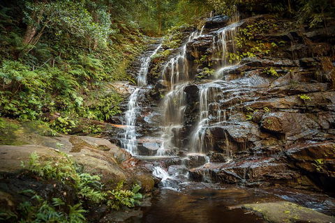 Ultimate Blue Mountains Waterfalls, Walks & Sunset PRIVATE Tour - Tourism Gold Coast 10
