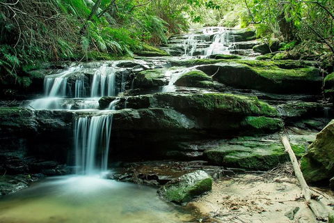 Ultimate Blue Mountains Waterfalls, Walks & Sunset PRIVATE Tour - Tourism Gold Coast 2