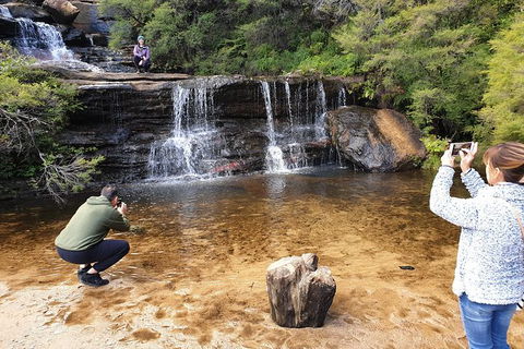 Ultimate Blue Mountains Waterfalls, Walks & Sunset PRIVATE Tour - Tourism Gold Coast 0