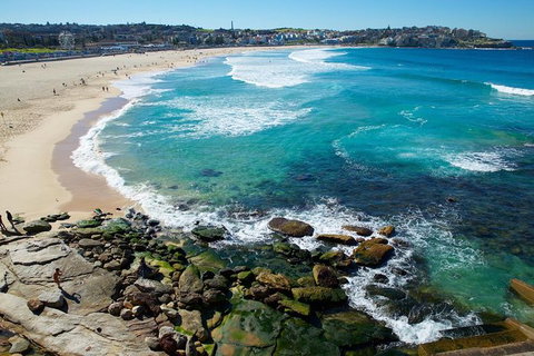 Private Sydney Foreshores And Beaches SUV Tour - Tourism Gold Coast 8