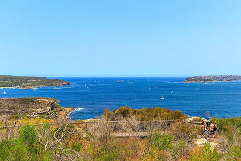 Private Sydney Foreshores And Beaches SUV Tour - Tourism Gold Coast 5