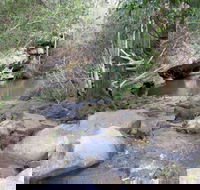 Bomaderry Creek Regional Park - Gold Coast