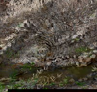 Brisbane Ranges National Park - Gold Coast