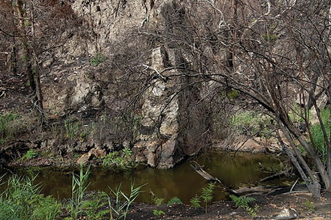 Brisbane Ranges National Park - Gold Coast 0