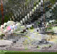 Maroochy Regional Bushland Botanic Garden - Tourism Gold Coast