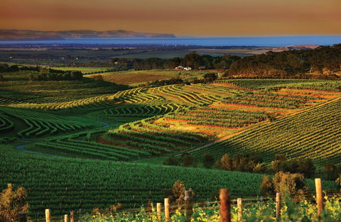 Mclaren Vale - Tourism Gold Coast 1