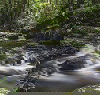 Protesters Falls Walking Track - Tourism Gold Coast