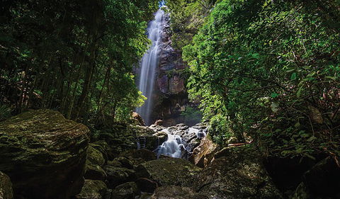 Protesters Falls Walking Track - Tourism Gold Coast 1