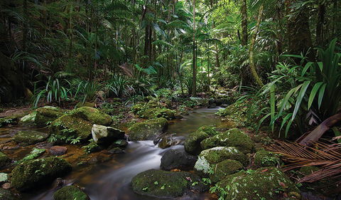 Protesters Falls Walking Track - Tourism Gold Coast 2