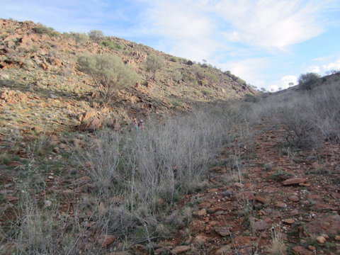 Sundown Nature Trail - Tourism Gold Coast 2