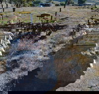 Wangaraleednie Monument  Ruins - Tourism Gold Coast
