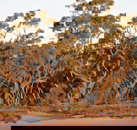 Yawura Yarun - Tourism Gold Coast