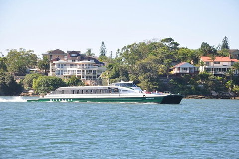 Blue Mountains Private Tours (Luxury VW Or Mercedes Sprinter) - Tourism Gold Coast 20