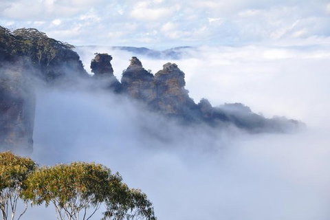 Blue Mountains Private Tours (Luxury VW Or Mercedes Sprinter) - Tourism Gold Coast 3