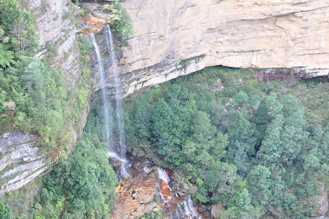 Blue Mountains Private Tours (Luxury VW Or Mercedes Sprinter) - Tourism Gold Coast 15