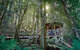 Blue Mountains Private Tours (Luxury VW Or Mercedes Sprinter) - thumb 26
