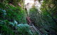 Blue Mountains Private Tours (Luxury VW Or Mercedes Sprinter) - thumb 17