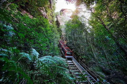 Blue Mountains Private Tours (Luxury VW Or Mercedes Sprinter) - Tourism Gold Coast 17