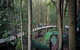 Blue Mountains Private Tours (Luxury VW Or Mercedes Sprinter) - thumb 19
