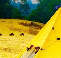 Blue Mountains Into The Wild Overnight Camping 4WD Off Road Wilderness Adventure - Tourism Gold Coast