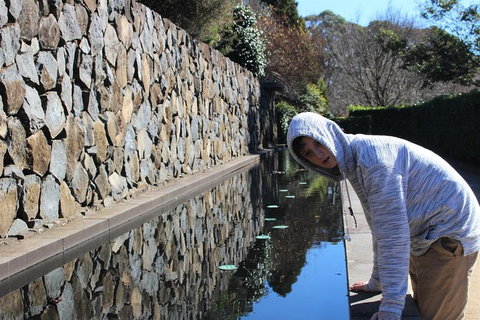 The Other Side Of The Blue Mountains - Tourism Gold Coast 8